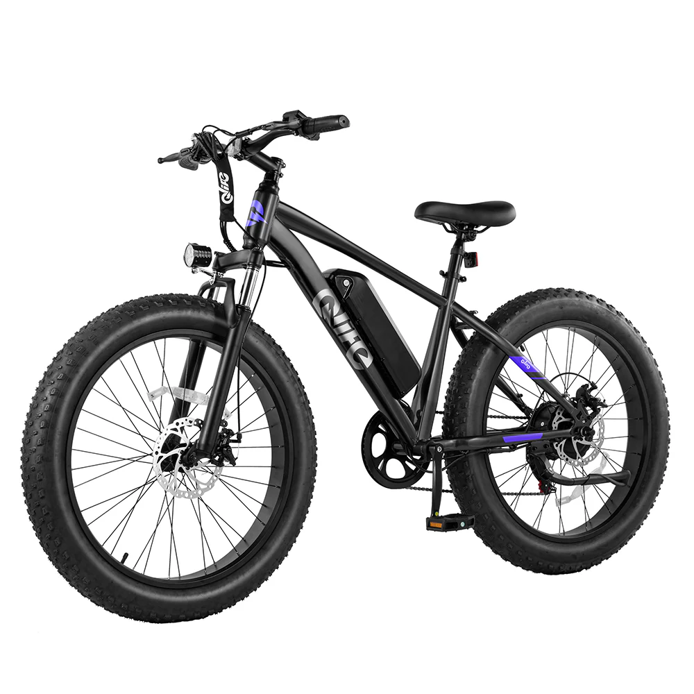 Racer Plus 26x4.0'' Fat Tire Electric Bike For Adults - Image 17