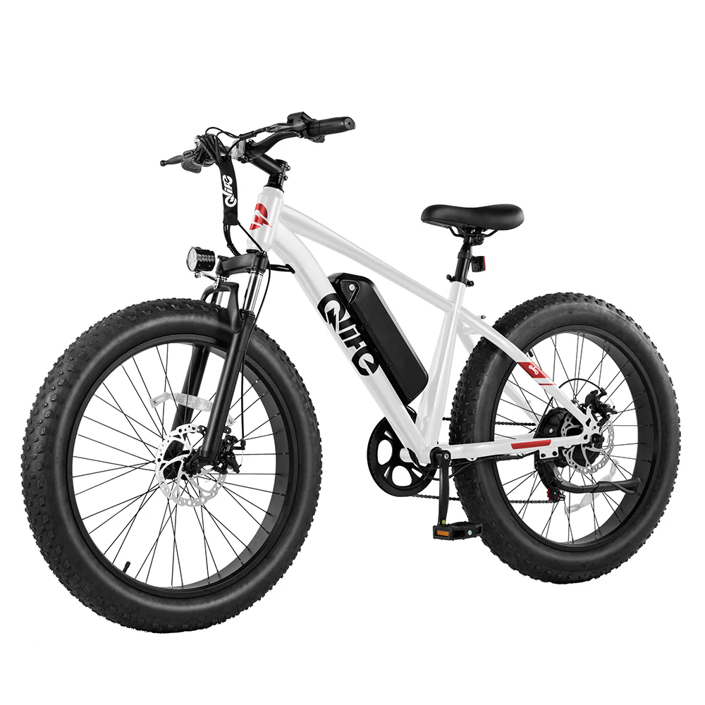 Racer Plus 26x4.0'' Fat Tire Electric Bike For Adults - Image 19