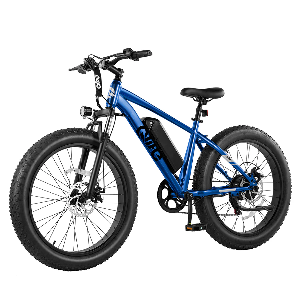 Racer Plus 26x4.0'' Fat Tire Electric Bike For Adults - Image 20