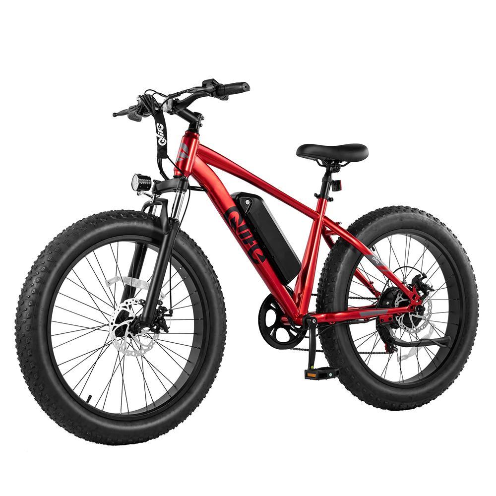 Racer Plus 26x4.0'' Fat Tire Electric Bike For Adults - Image 21