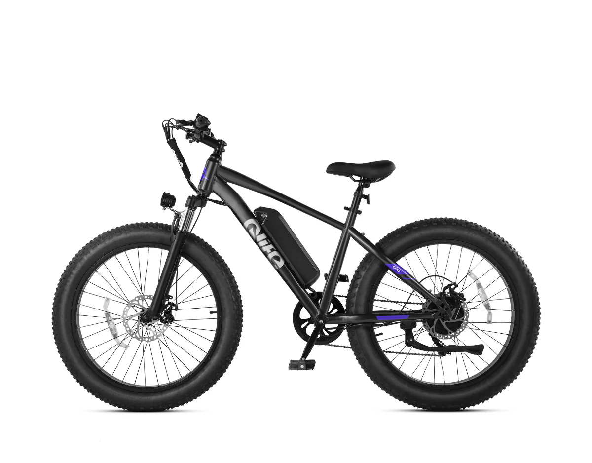 Racer Plus 26x4.0'' Fat Tire Electric Bike For Adults - Image 22