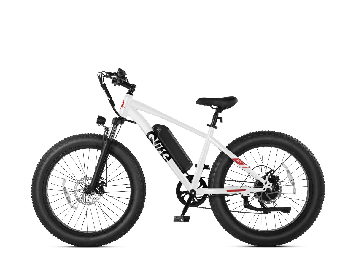 Racer Plus 26x4.0'' Fat Tire Electric Bike For Adults - Image 23