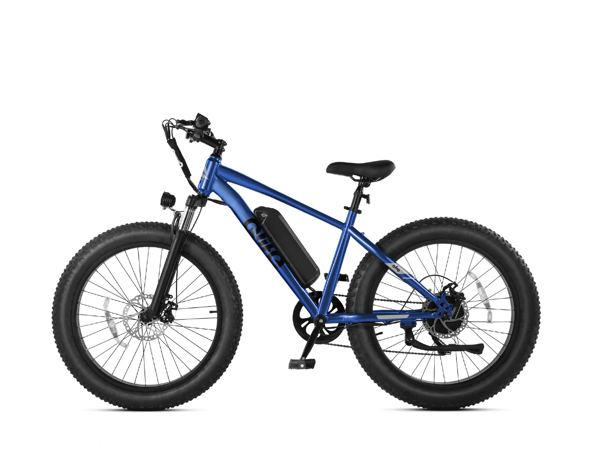 Racer Plus 26x4.0'' Fat Tire Electric Bike For Adults - Image 24