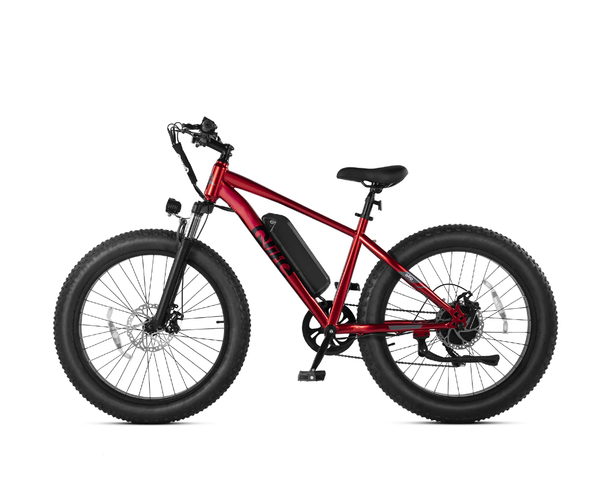 Racer Plus 26x4.0'' Fat Tire Electric Bike For Adults - Image 25