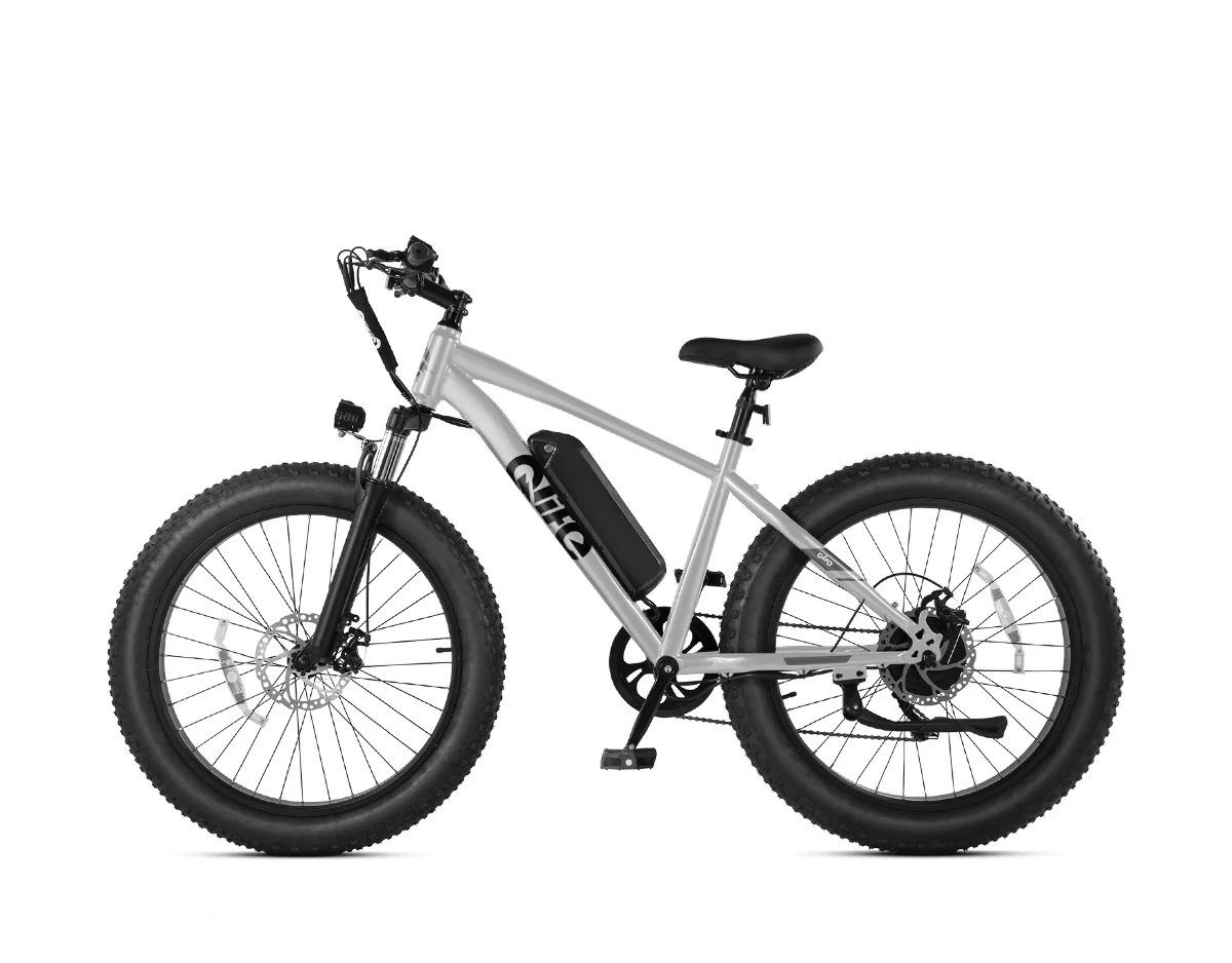 Racer Plus 26x4.0'' Fat Tire Electric Bike For Adults - Image 26